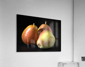 Three Pears Acrylic Print