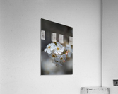 Blossom Spring Delight  Acrylic Print