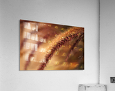 Grasses Wild Acrylic Print