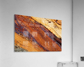 Eucalyptus Tree Natural Layers Acrylic Print