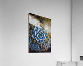 Succulent In Blues Acrylic Print