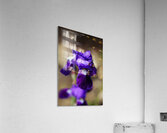 Purple Bearded Iris Sing Acrylic Print