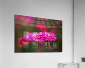 Hot Pinks Double Flower Acrylic Print