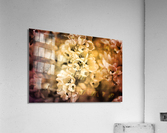Rustic African Corn Lilies Acrylic Print