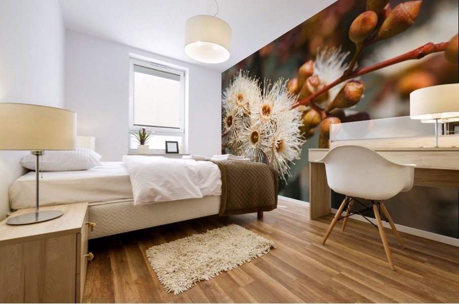 Spring Eucalyptus Flowers Mural print