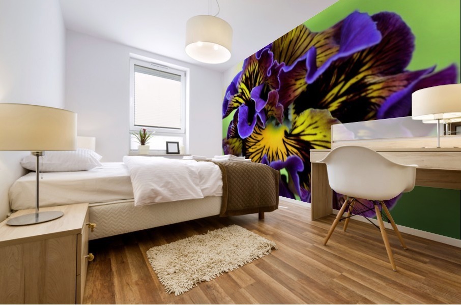 Lacy Pansy Mural print