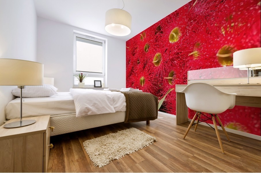 Australian Native Eucalyptus Mural print