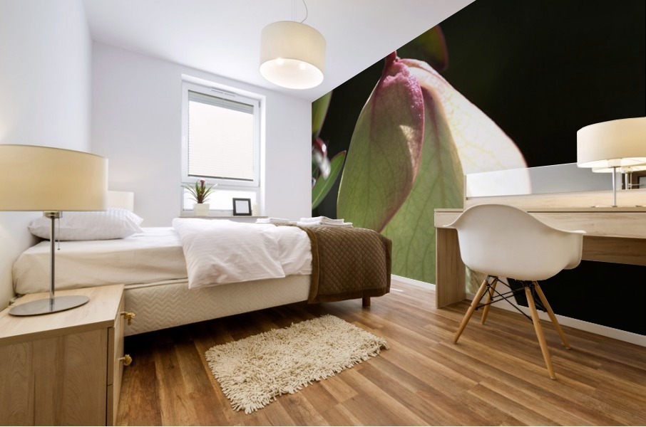 Qualup Bell Flower Mural print