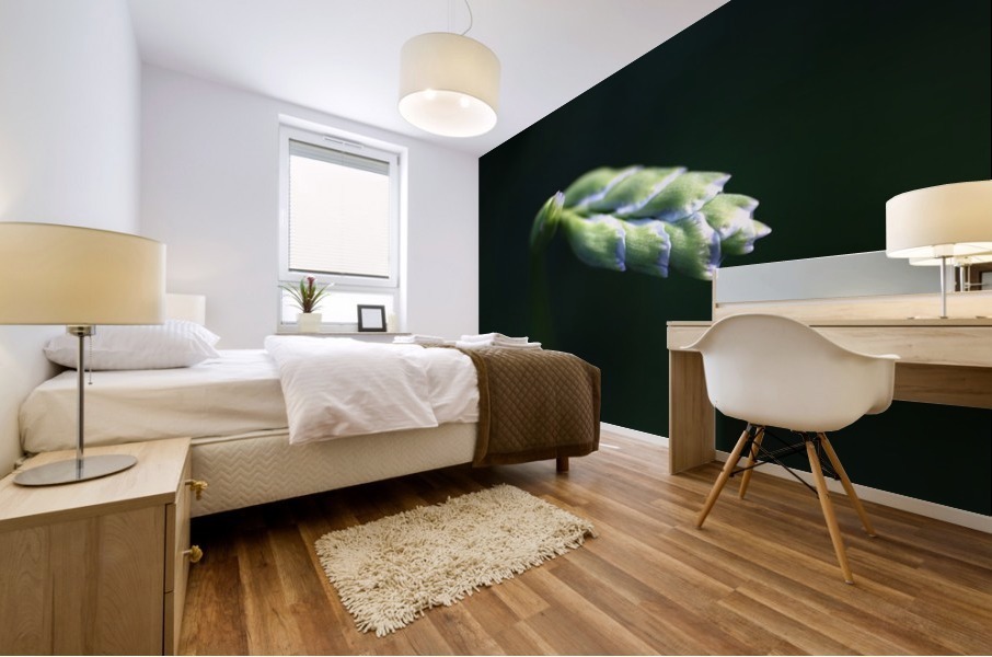 Grape Hyacinth Bud Mural print