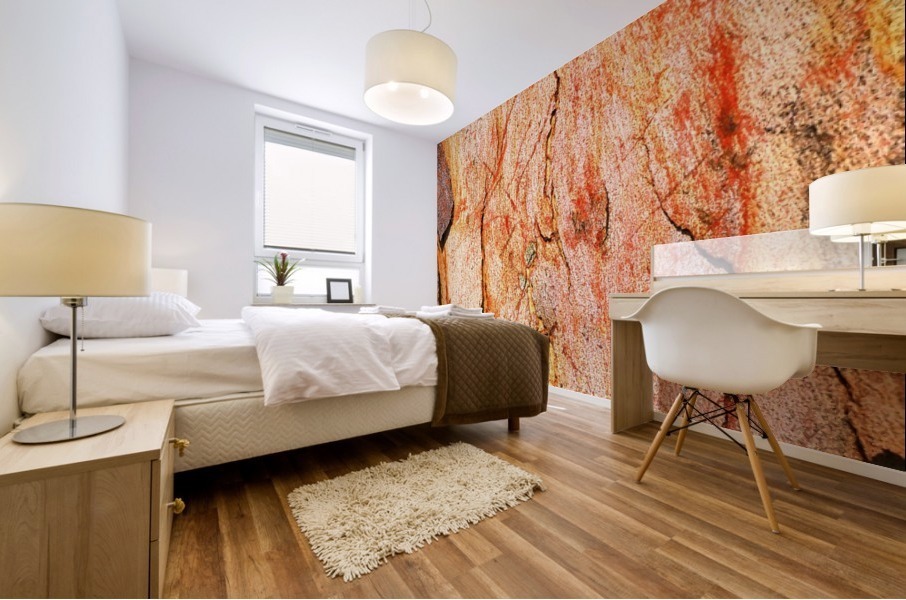 Eucalyptus Bark And Patterns Mural print