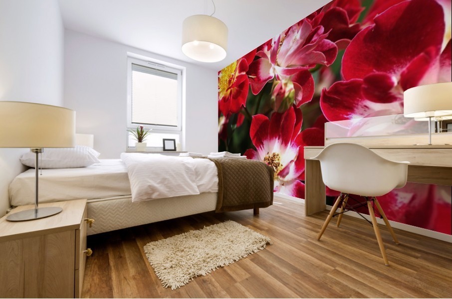 Carpet Roses Mural print