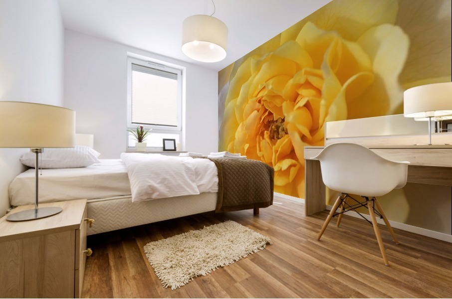 Yellow Rose Mural print
