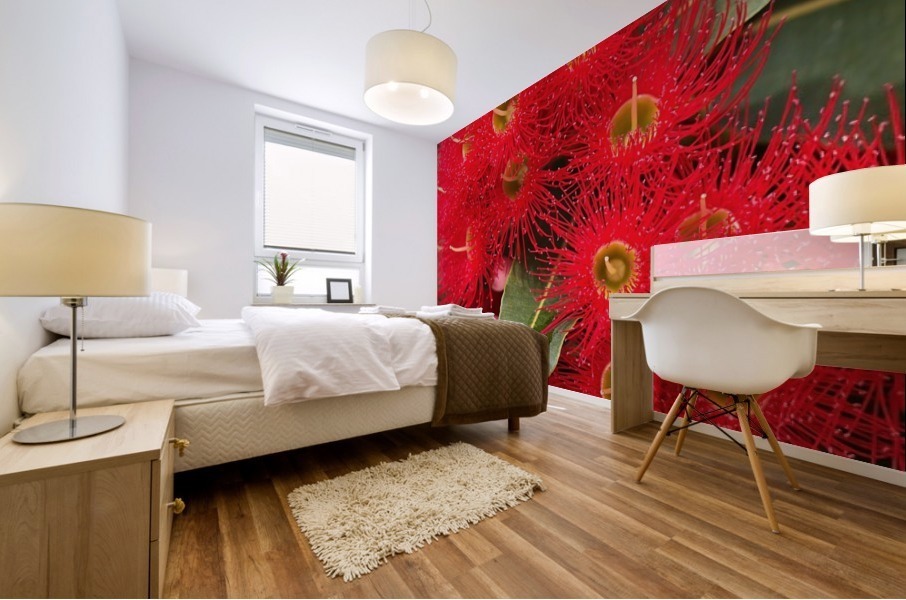 Red Eucalyptus Flowers Mural print