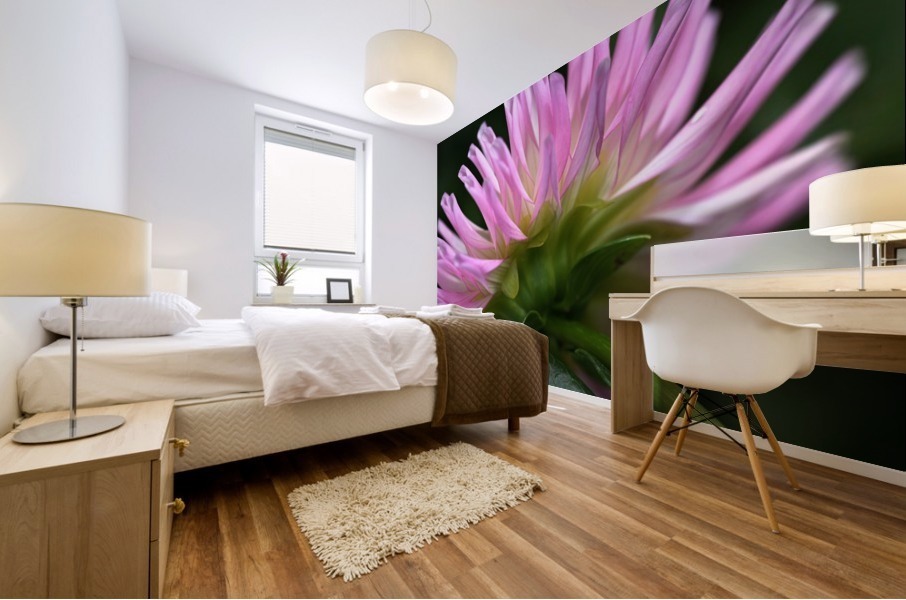 Dahlias Pink Side Mural print