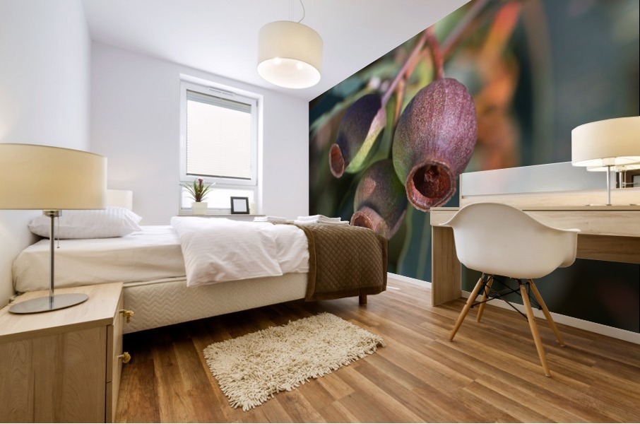 Gum Nuts  Mural print