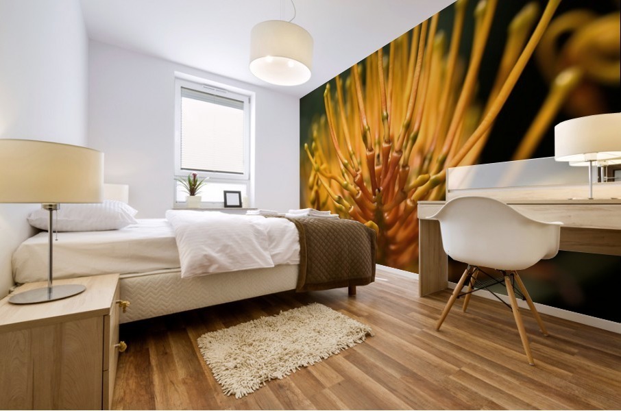 Grevillea Robusta Mural print