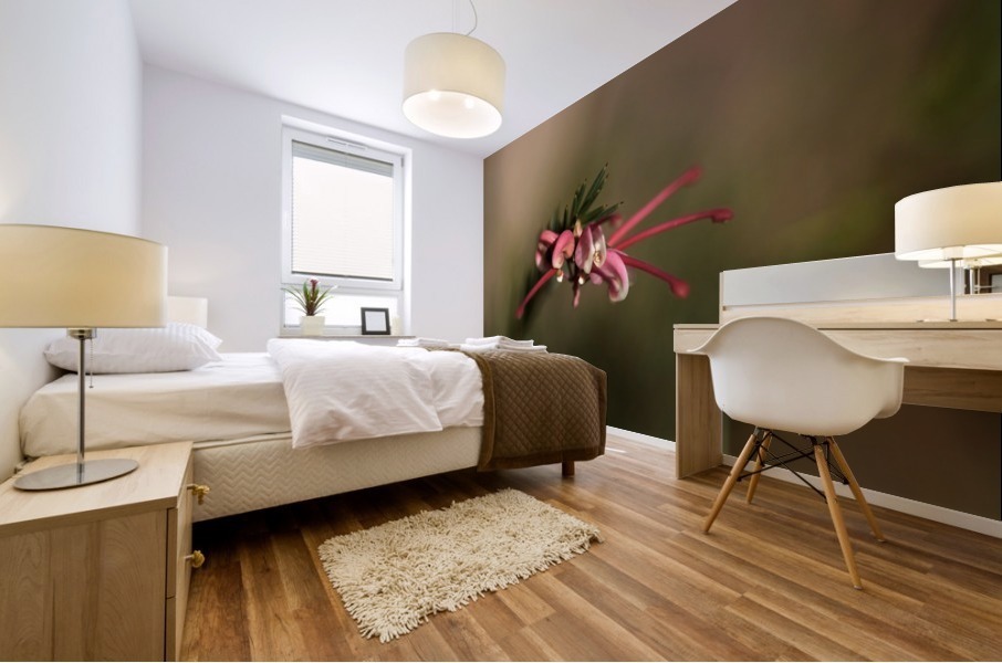 Grevillea Flower Mural print