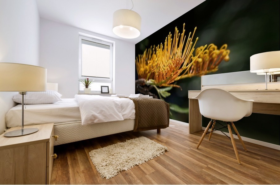 Tree Grevillea Robusta Mural print