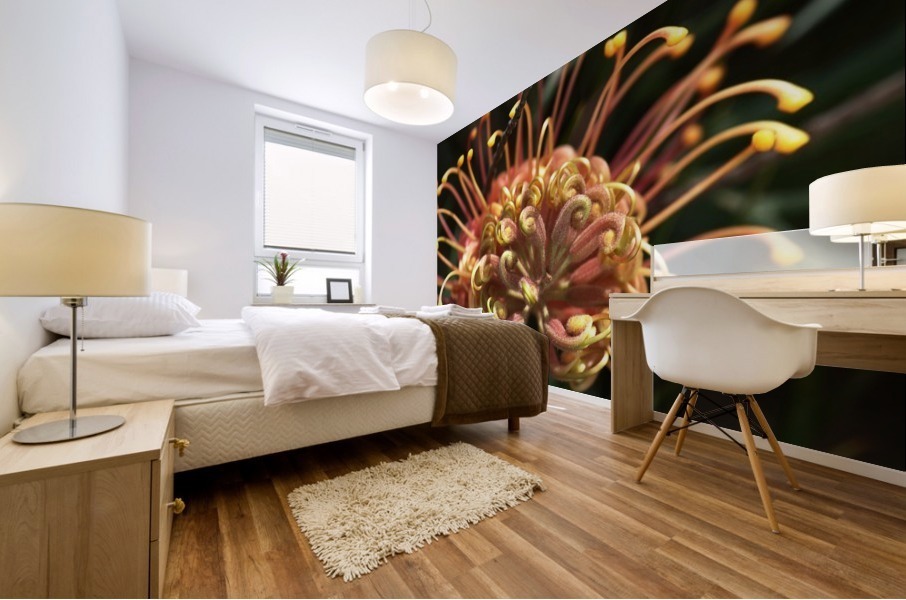 Grevillea Superb Mural print