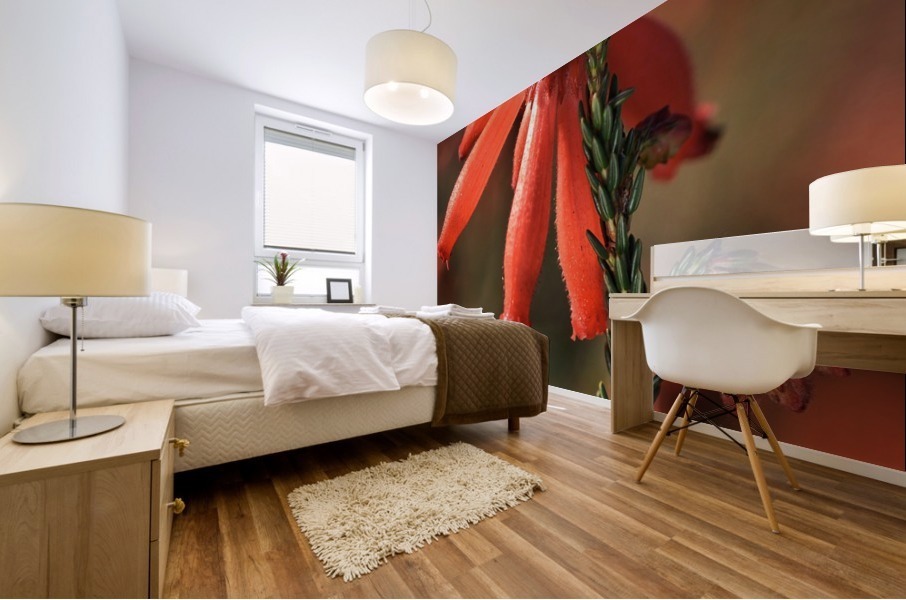 Hot Red Flower Mural print