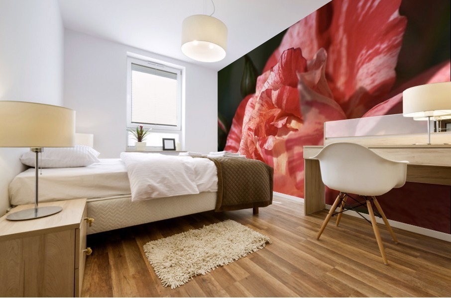Tri Toned Rose Mural print