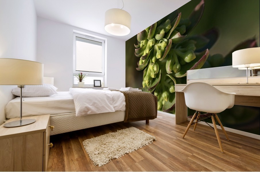 Succulent Mural print