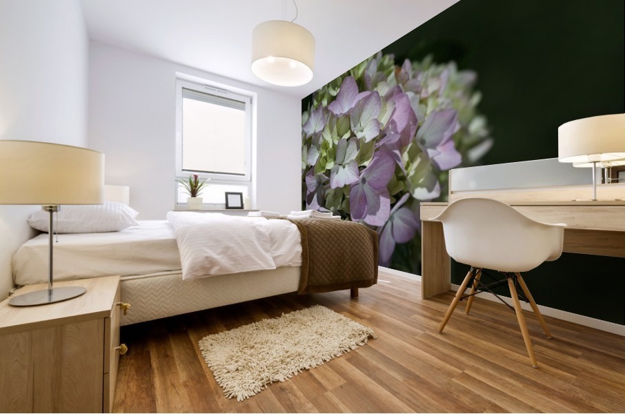 Hydrangea Flower Mural print