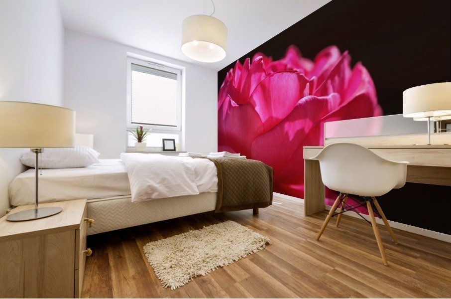 Hot Pink Rose Mural print