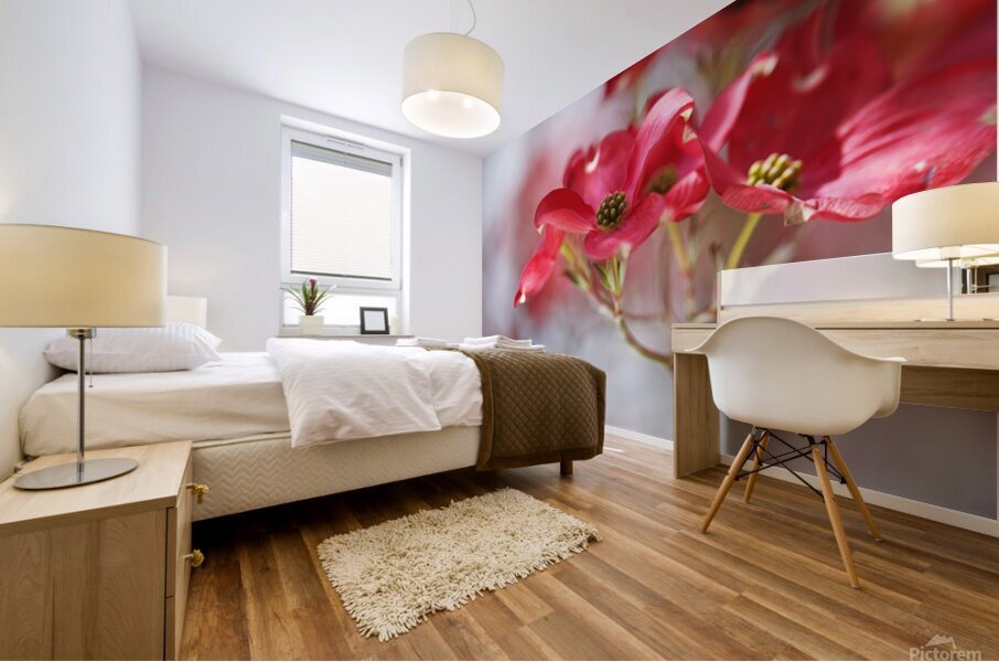 Soft Flowering Dogwoods Mural print