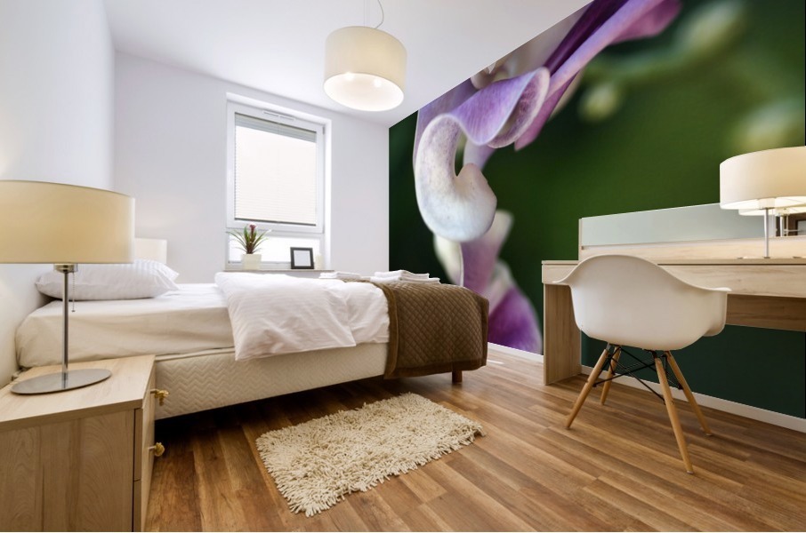 Corkscrew Vine Flower Mural print