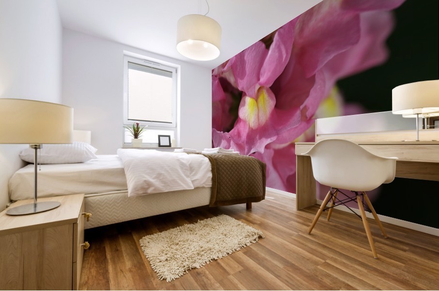 Snapdragon Pink Mural print