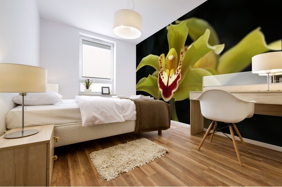 Green Orchid Mural print