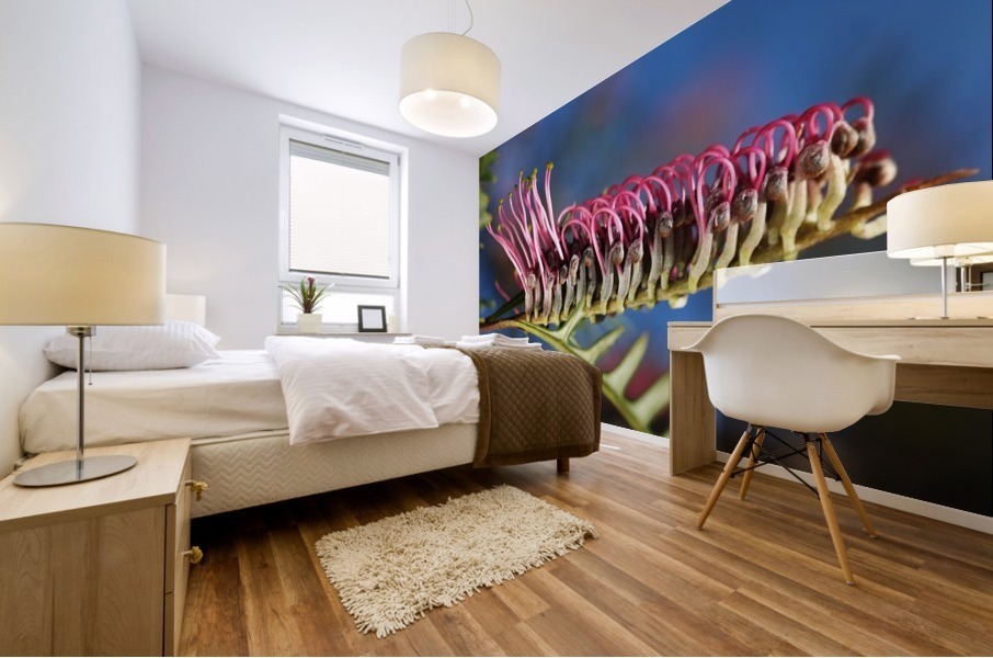 Diving Grevillea Flower Mural print
