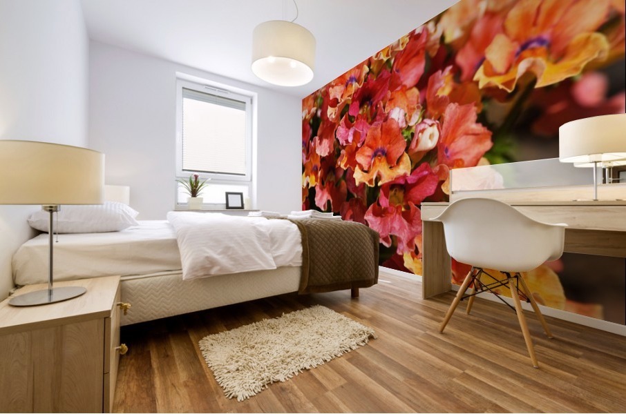 Orange Flower Display Mural print