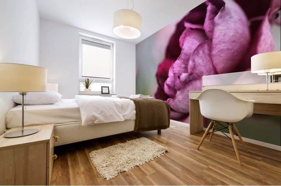Soft Rose Mural print
