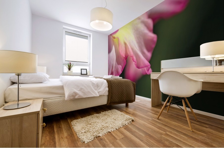 Gladiolus Petals Mural print