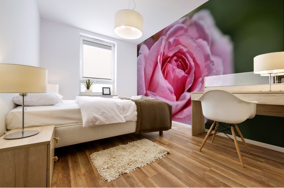 Pink Rose Mural print