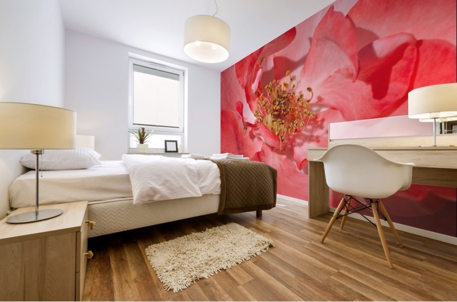 Red Rose Middle Mural print