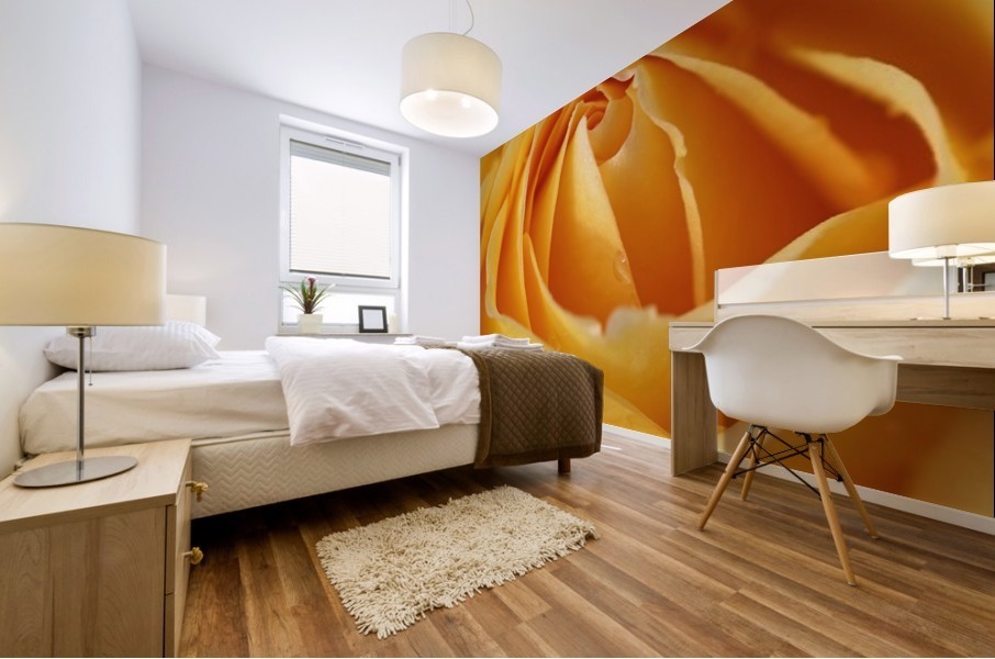 Orange Rose Heart Mural print