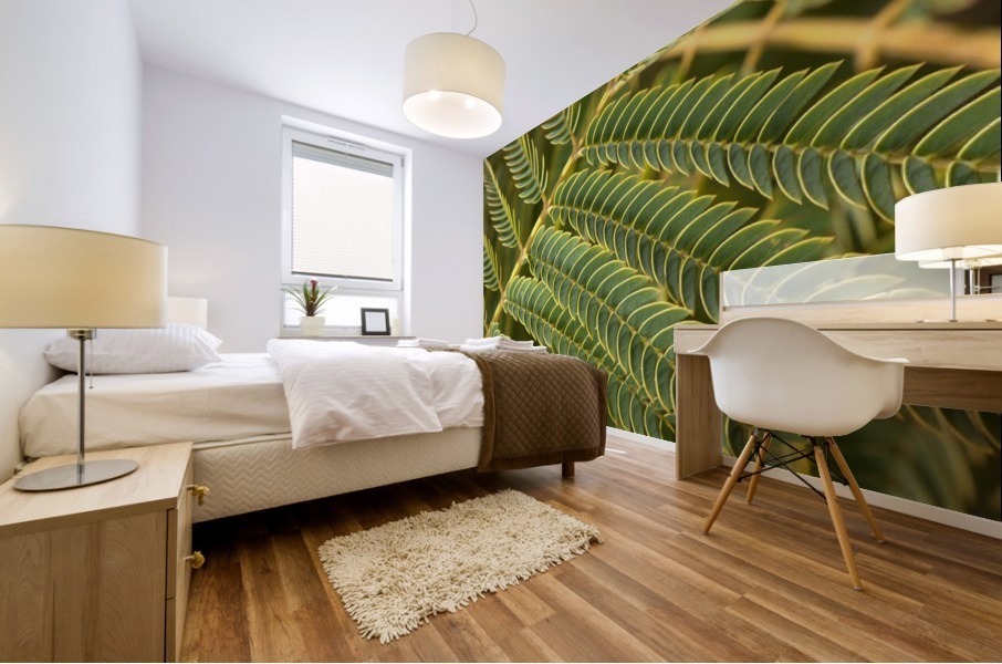 Fern  Mural print