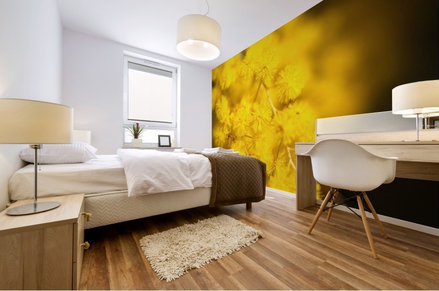 Wattle Tree Flowers Mural print
