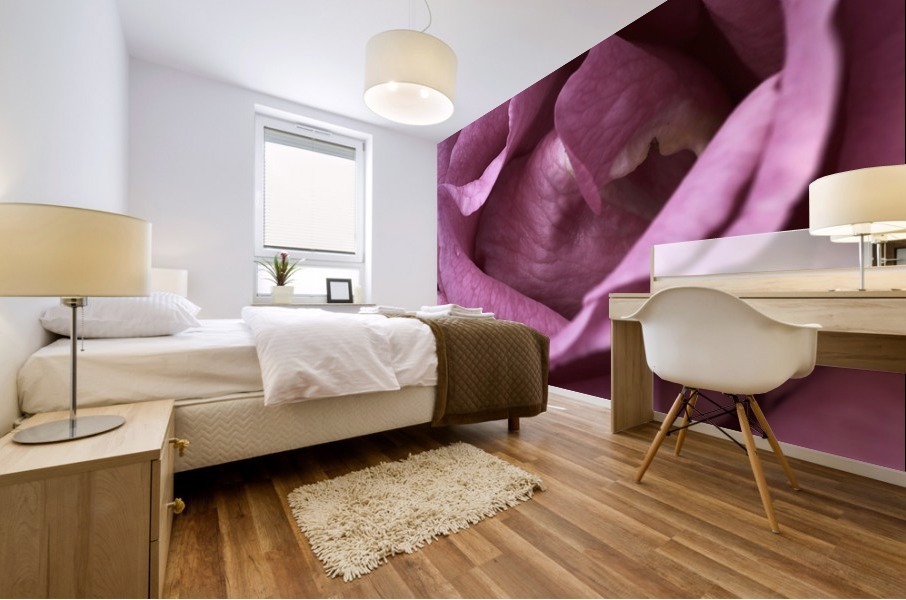 Mauve Rose Mural print