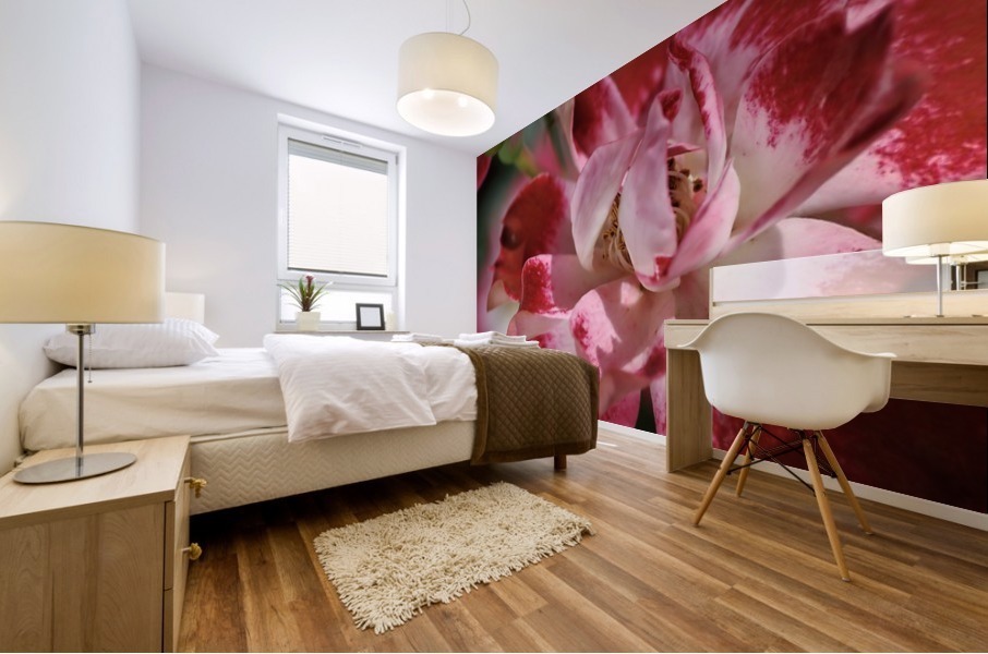 Carpet Roses Red Mural print
