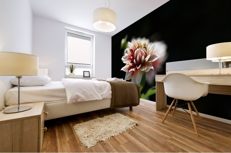 Dahlia Delight Mural print