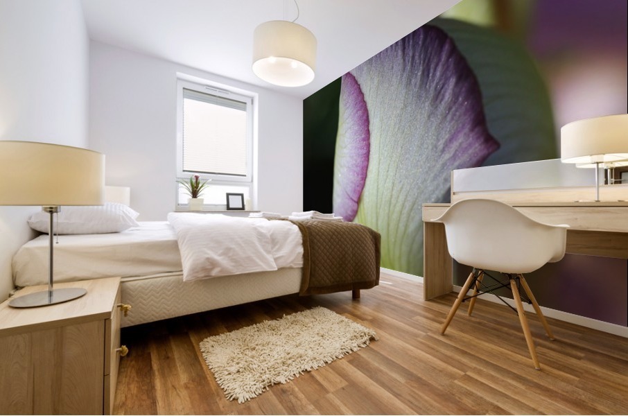Purple Iris Bud Mural print
