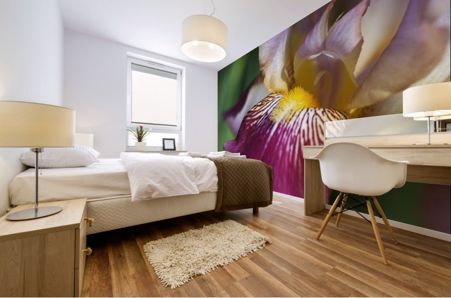 Purple Iris Mural print