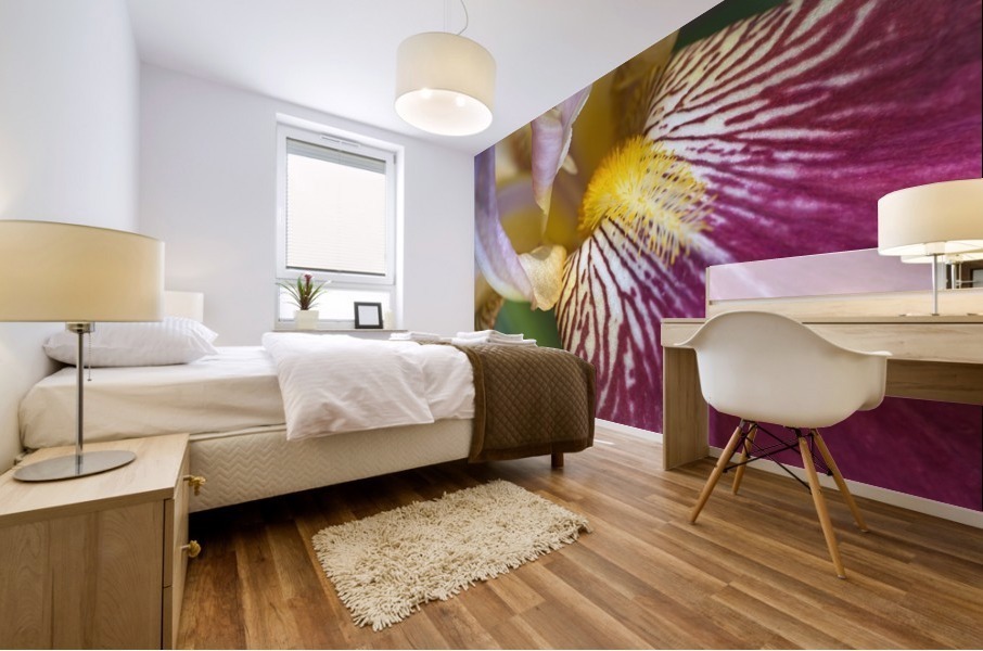 Purple Iris Flower Mural print