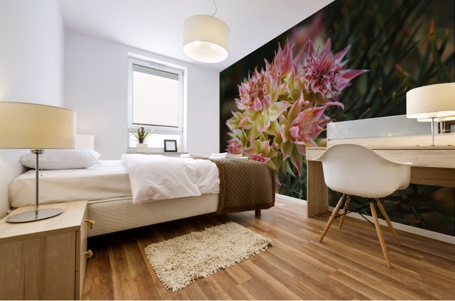 Small Protea Flowers Mural print