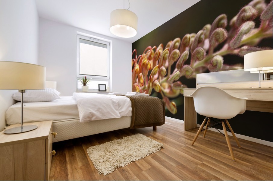 Golden Grevilleas Mural print
