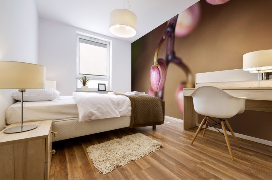 Orchid Buds Mural print